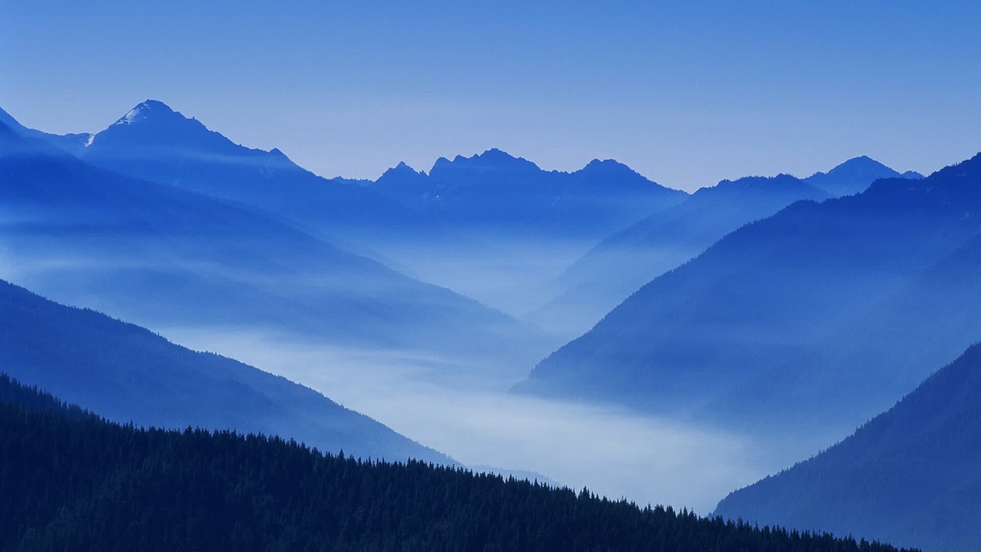 世界登山青年导师国际交流营第20批回访成果汇编上线,世界登山家
